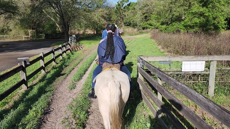 Cactus Jack's Trail Rides &mdash; Ocala National Forest, Florida