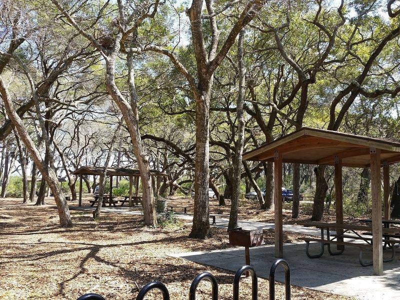 Shaded Picnic Areas