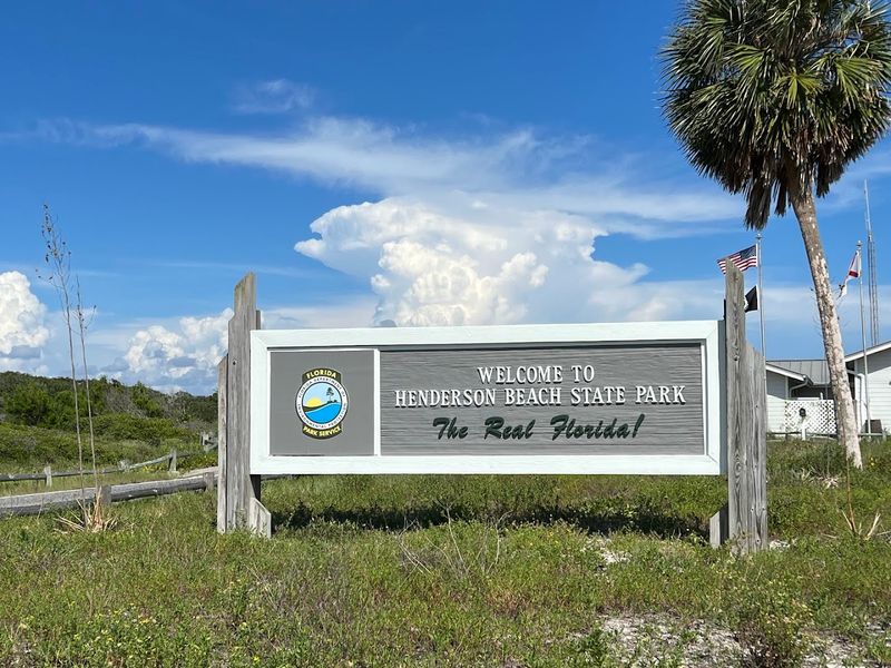 Sanctuary Status At Henderson Beach State Park