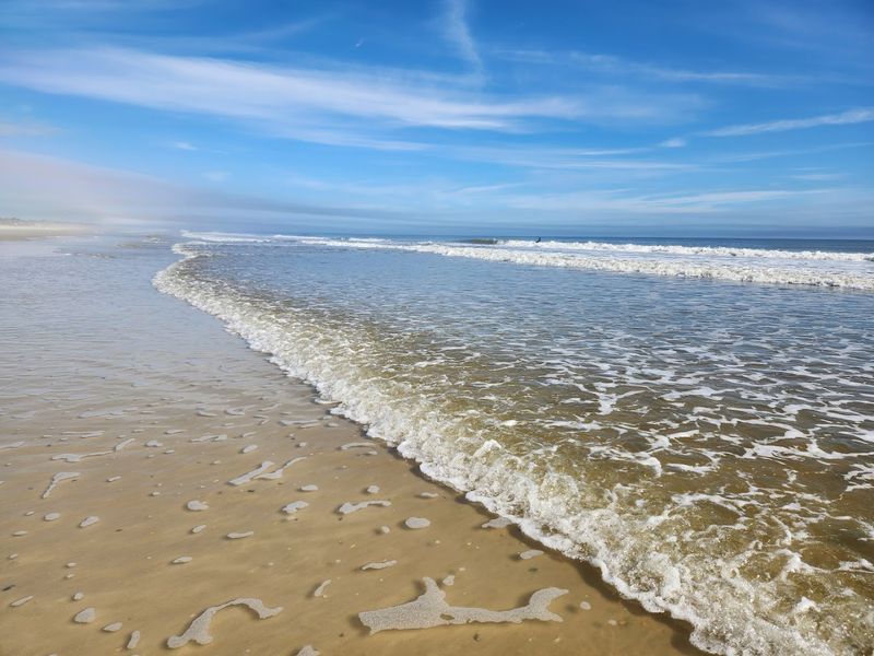 Little Talbot Island State Park (near Jacksonville)