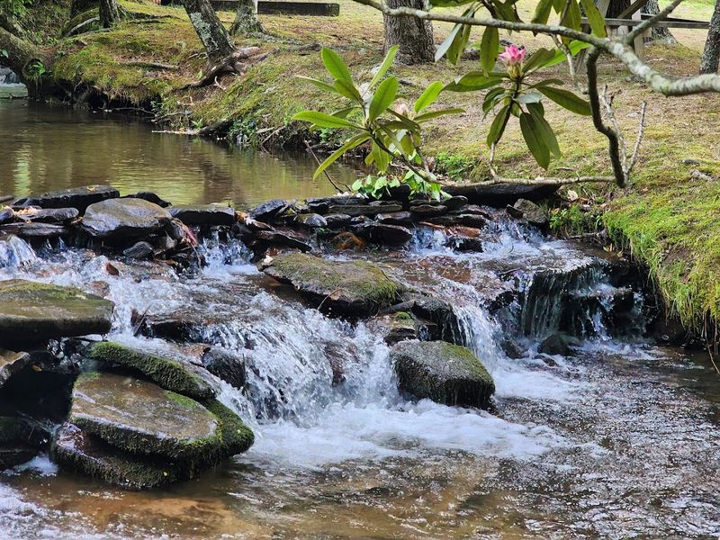Enota Mountain Retreat, Hiawassee