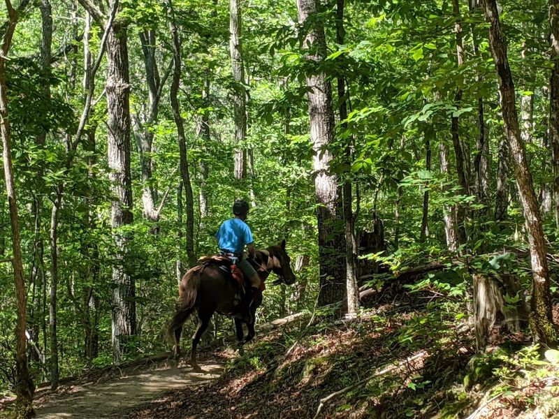 Garland Mountain Horse & Hiking Trails