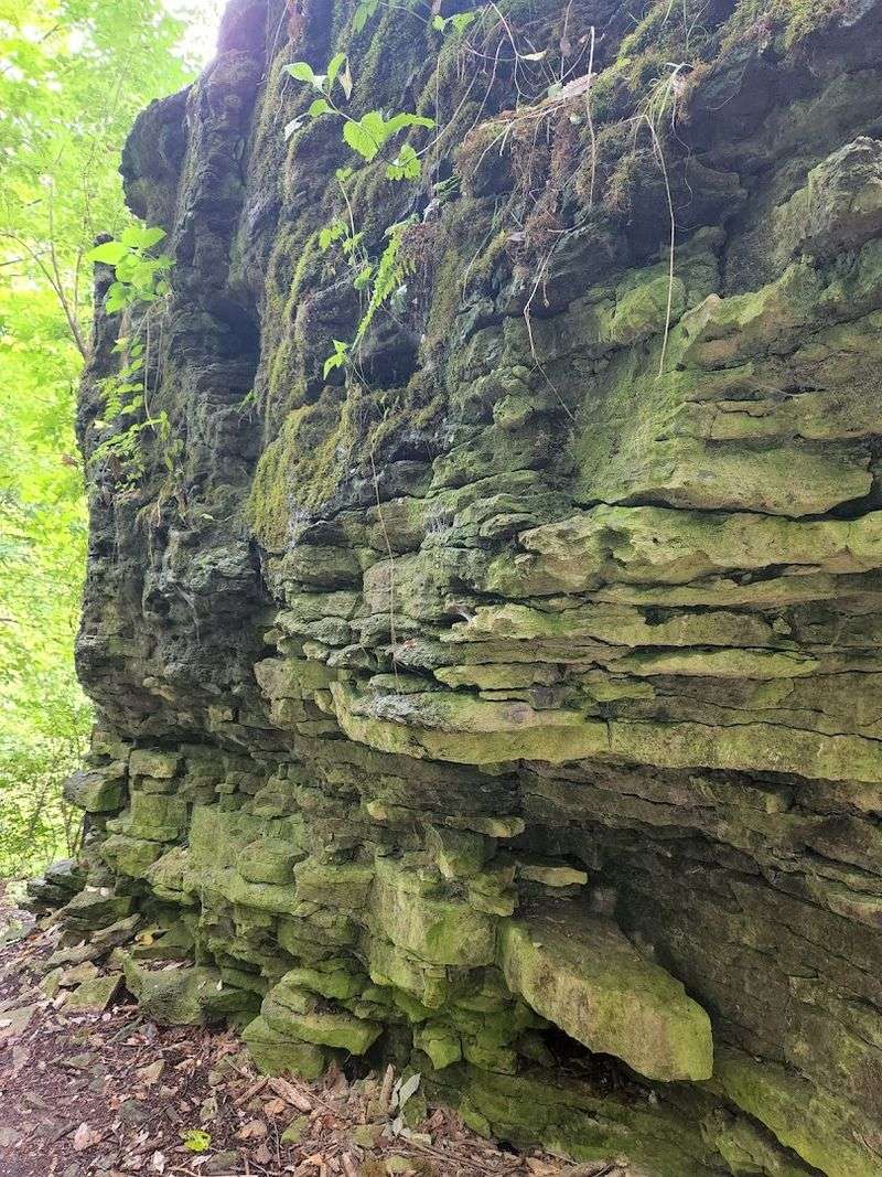 Moss-Covered Limestone Gorge