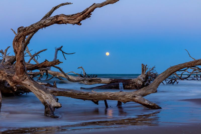 The Legendary Boneyard Beach