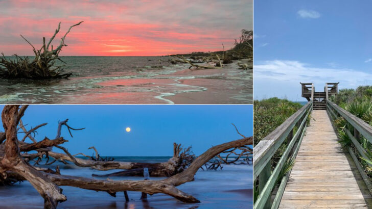 Driftwood Beaches And Quiet Trails Make This Florida Park Worth The Drive