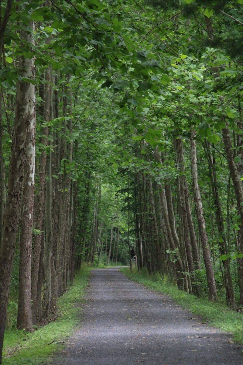 Bike the Pine Creek Rail Trail