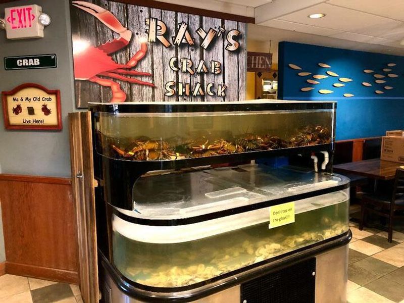 Why Ray's Crab Shack Has People Talking