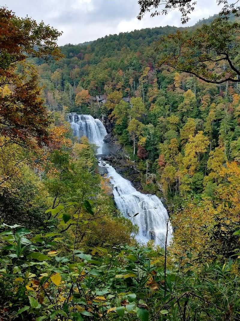 Whitewater Falls