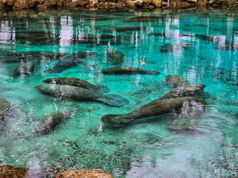 Three Sisters Springs