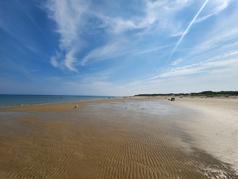 Cold Storage Beach (Dennis)
