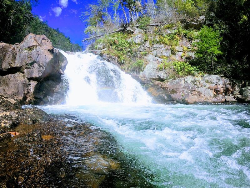 Jacks River Trail - Cohutta Wilderness