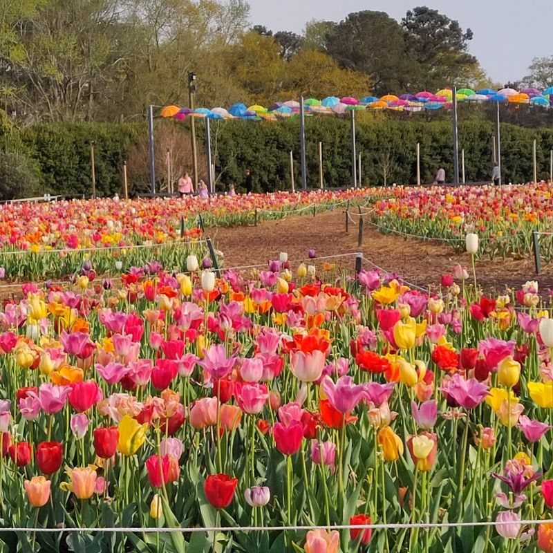 Callaway Gardens