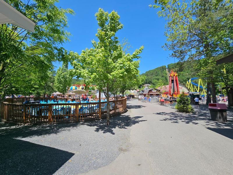 Knoebels Amusement Resort (Elysburg)