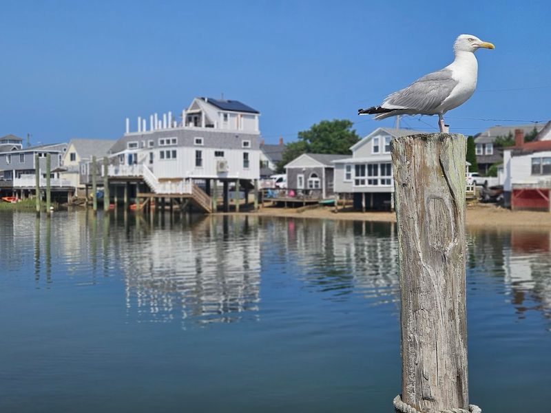Marshfield &ndash; Local Beach Town
