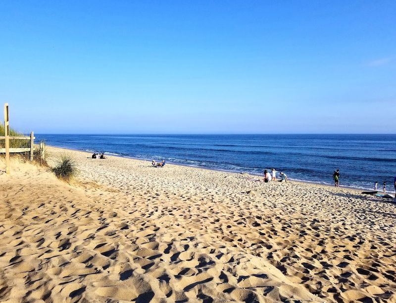 Madaket Beach