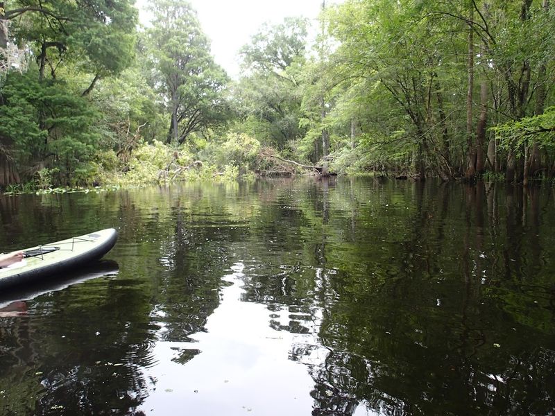Hillsborough River (Tampa Bay Area)