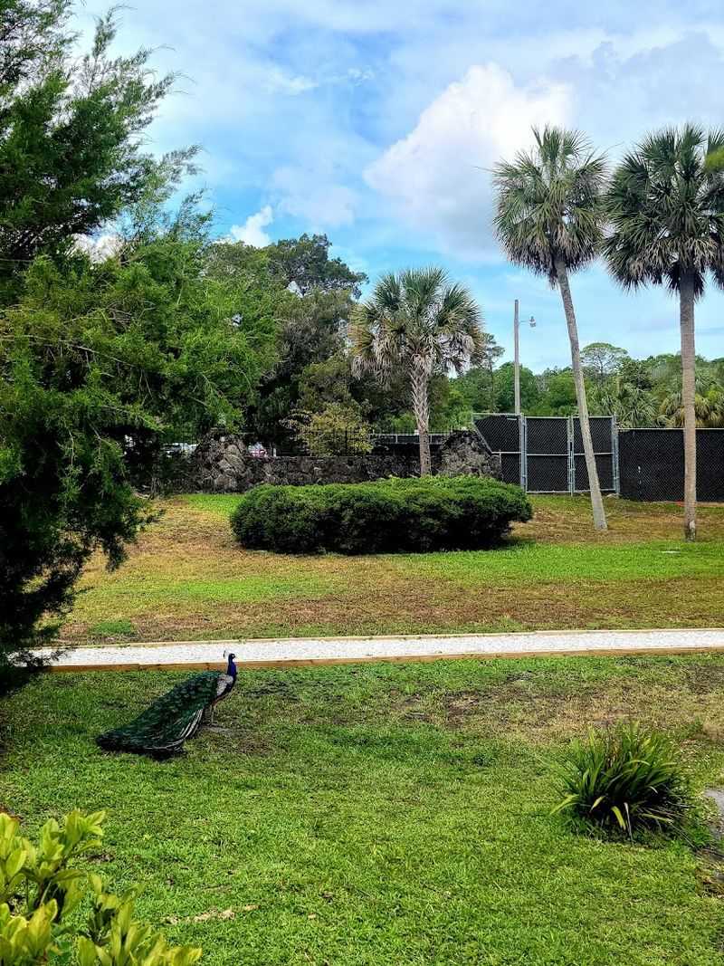 Abundant Bird Watching Opportunities