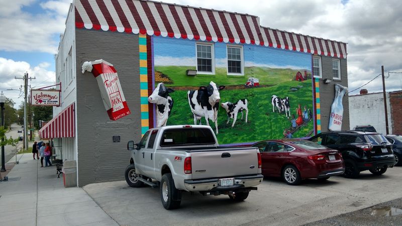 The Varsity Drive-In - Sanford, Lee County
