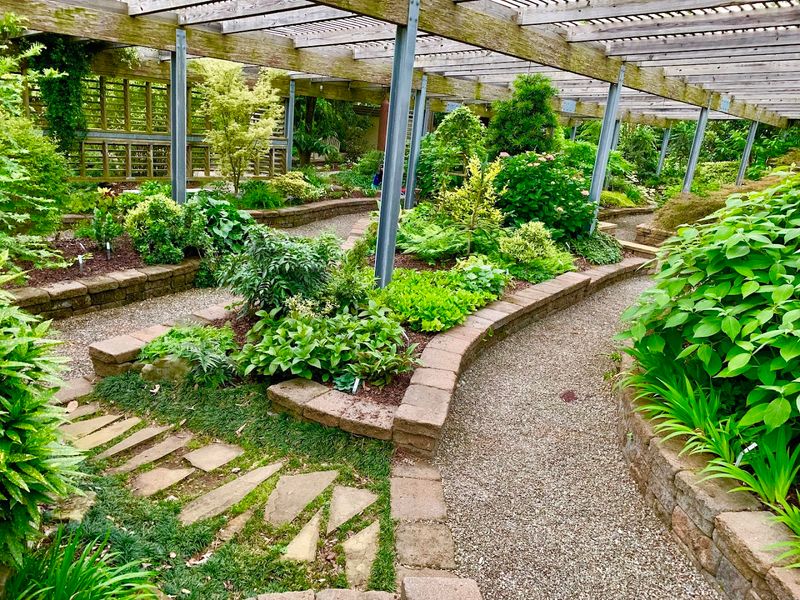 JC Raulston Arboretum 