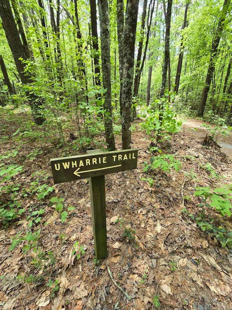 Uwharrie National Forest Trails