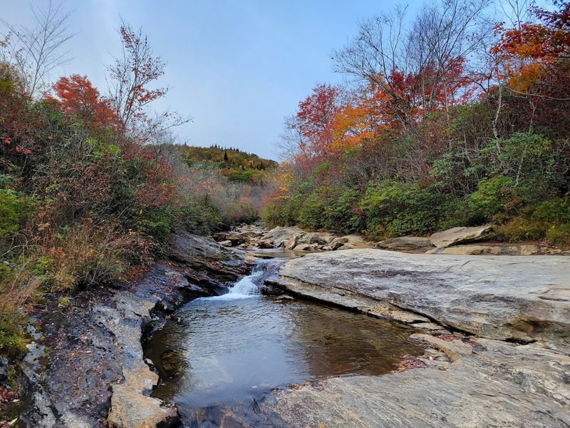 Graveyard Fields