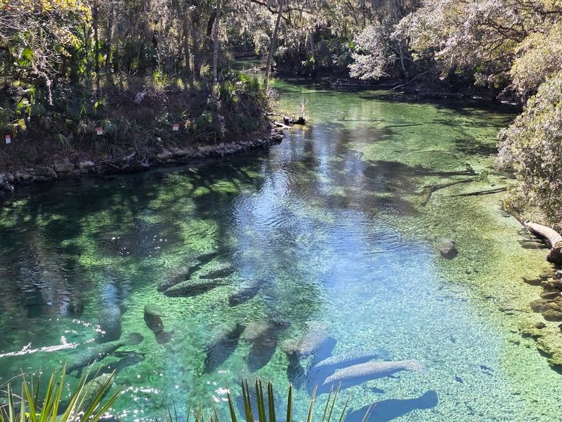 Blue Spring State Park