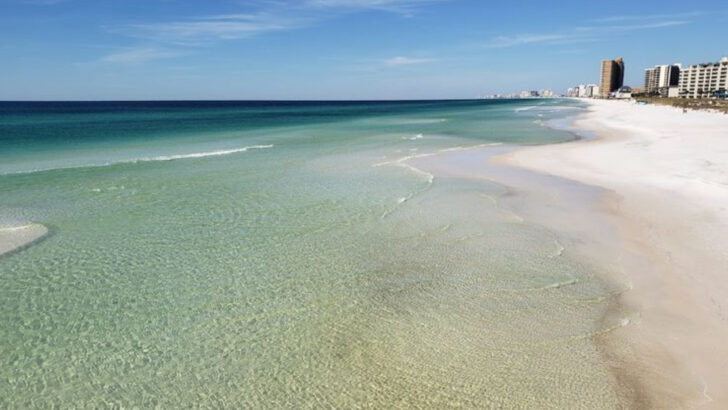Emerald Water And Peaceful Trails Make This Florida Park A Local Favorite