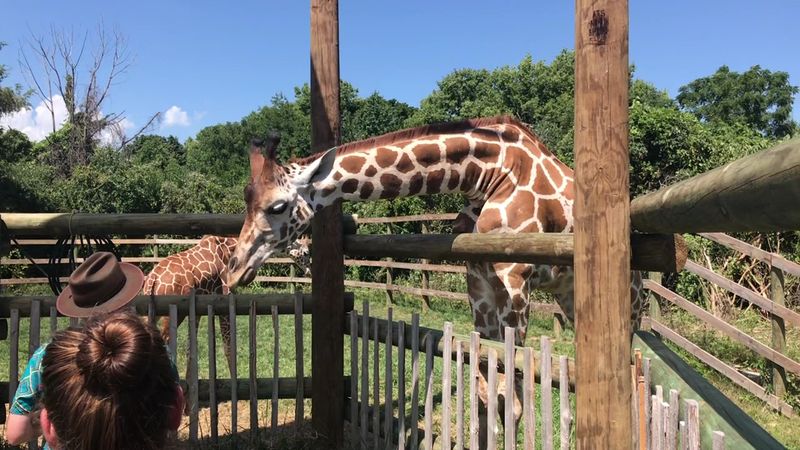 African Safari Wildlife Park - Port Clinton, Ohio