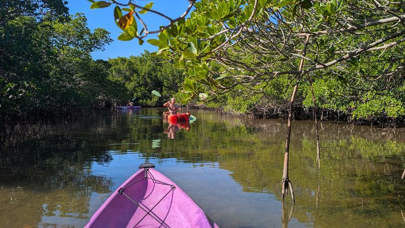 Thrilling Kayaking Adventures