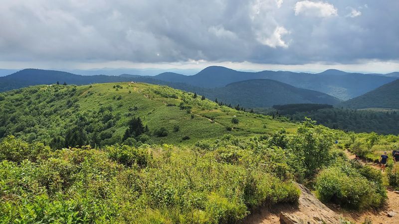 Black Balsam Knob (Pisgah National Forest)