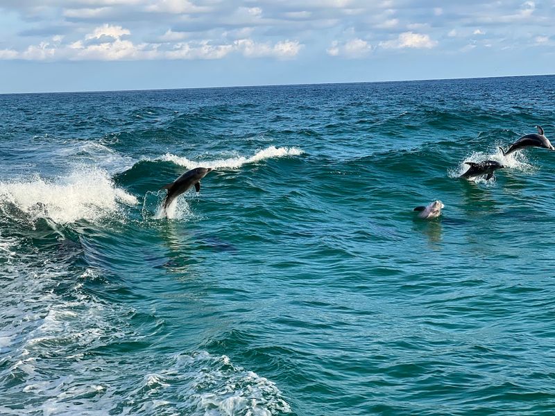 Outdoor Adventures Beyond the Beach