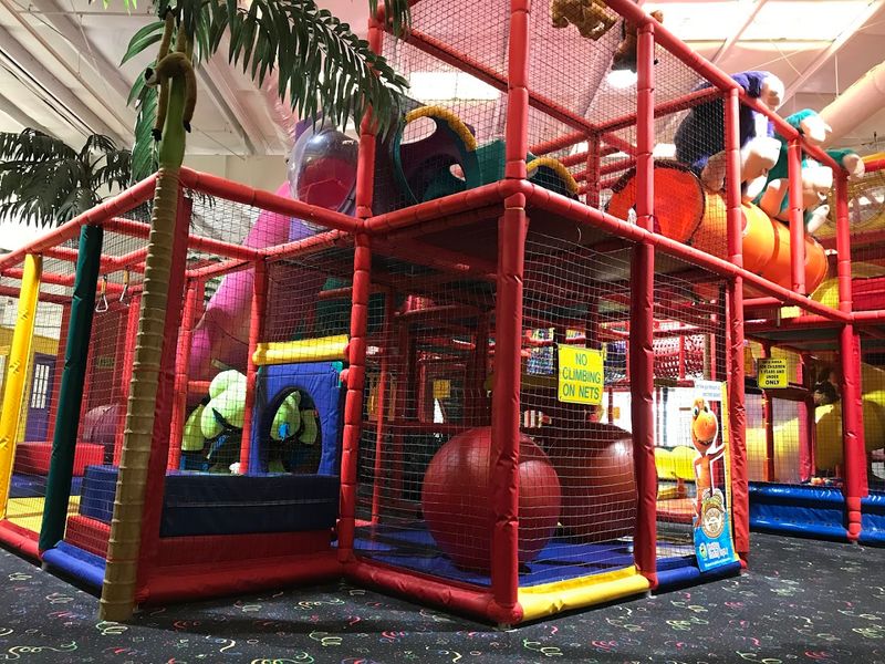 Indoor Jungle Gym Play Structure