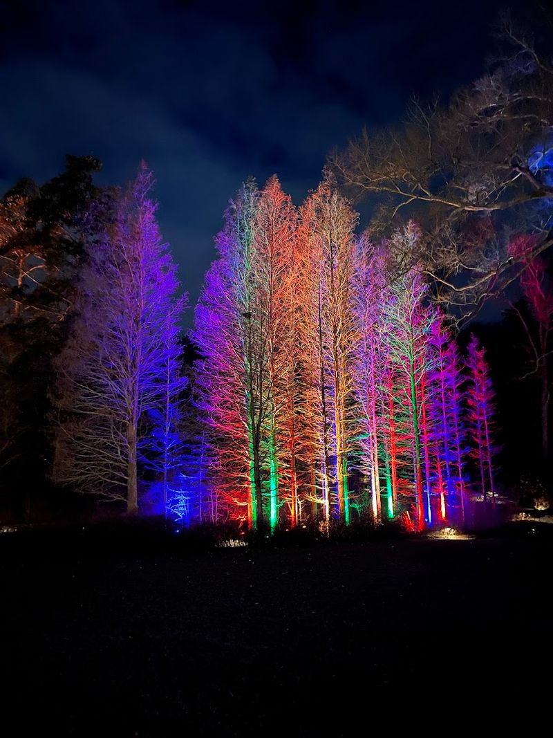 Walk Through Longwood Gardens During Seasonal Evening Displays