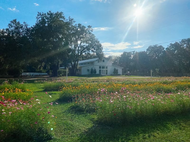 Picture-Perfect Settings For Memorable Photography Sessions