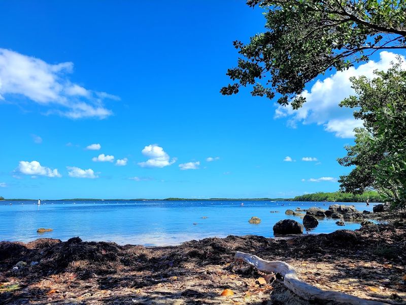 Snorkeling At John Pennekamp Coral Reef State Park