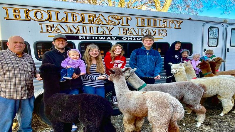 Meet Alpacas on an Ohio Farm