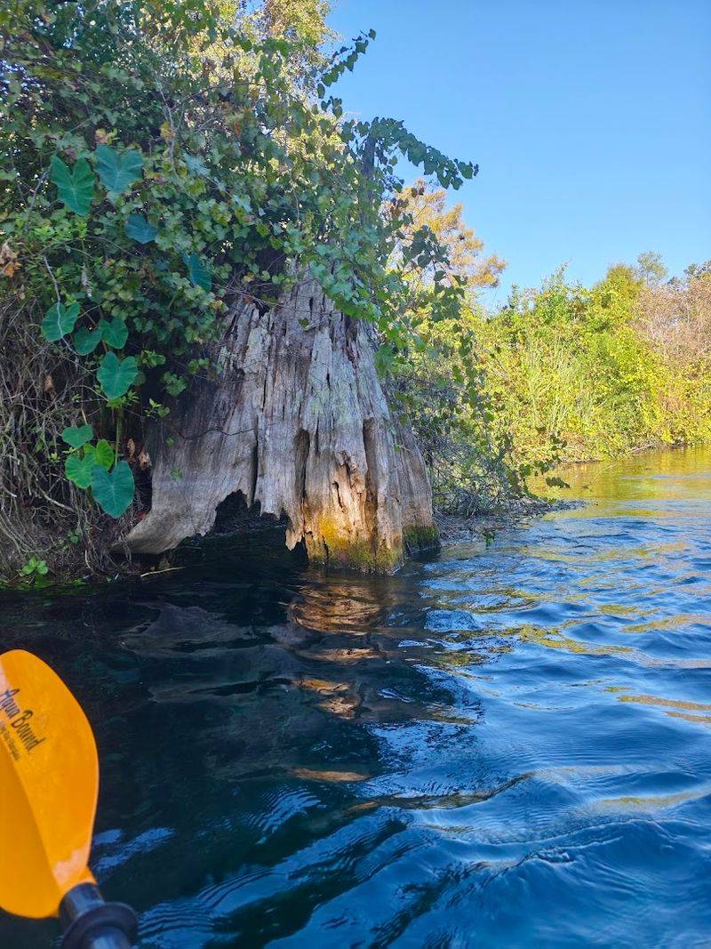 Kayak Through Weeki Wachee Springs State Park