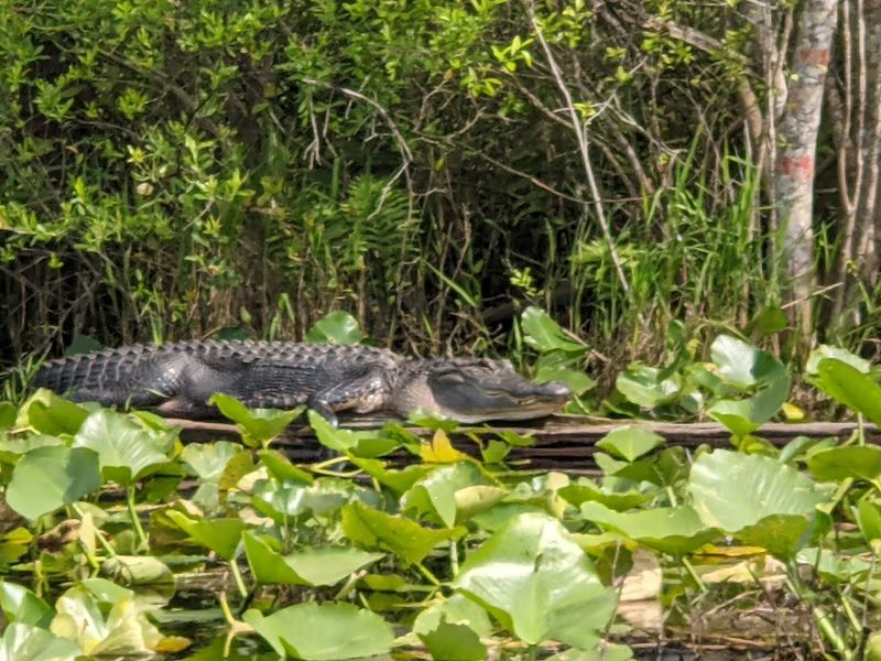 Stephen C. Foster State Park