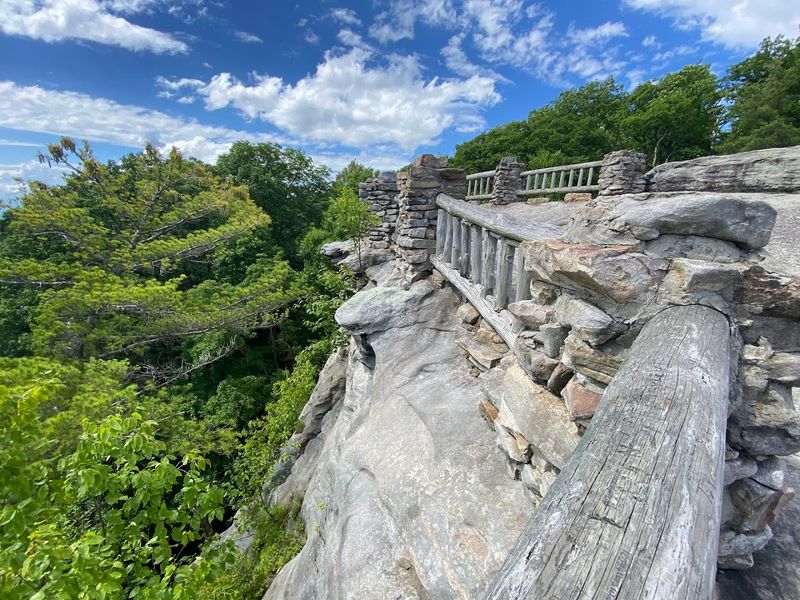 Cooper&rsquo;s Creek Scenic Area (Yellow Root Trail) 