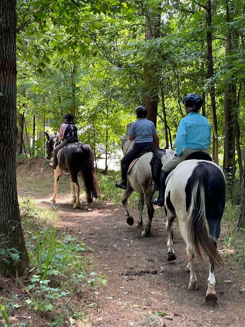 A.H. Stephens State Park