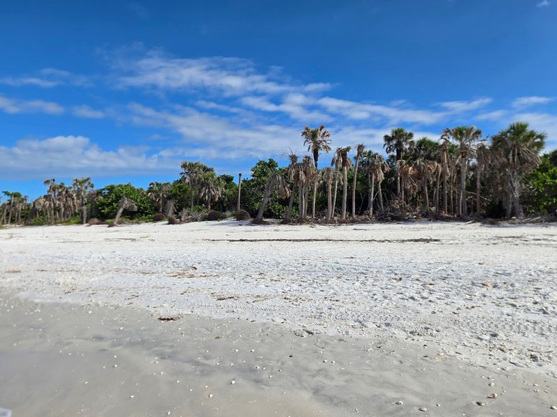 Barefoot Beach Preserve