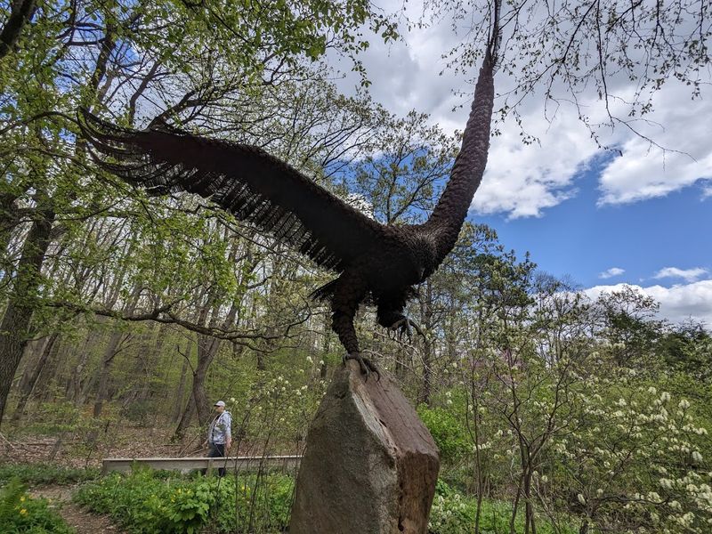 Hawk Mountain Sanctuary