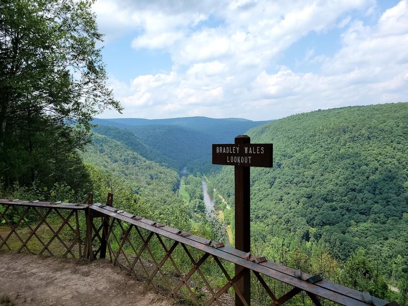 Pine Creek Gorge