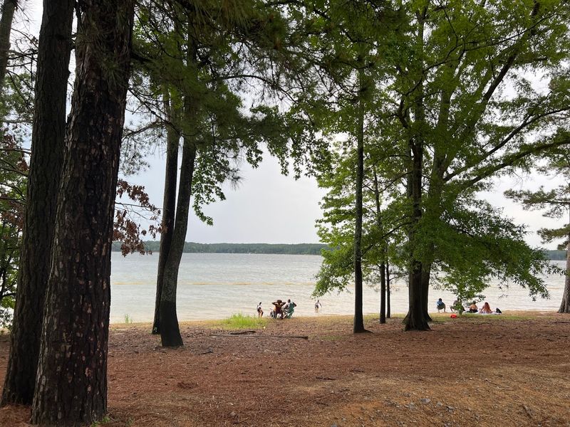 Jordan Lake State Recreation Area (Seaforth Access)