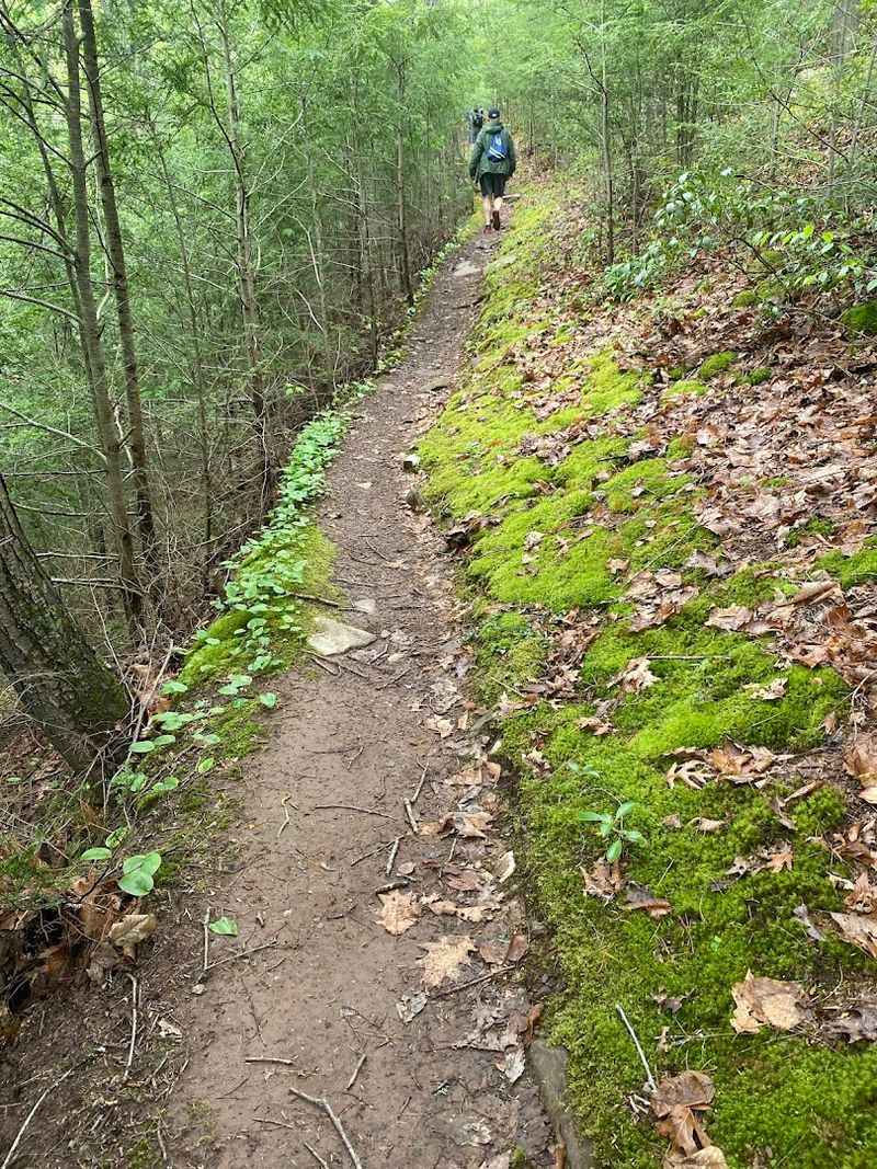 Golden Eagle Trail