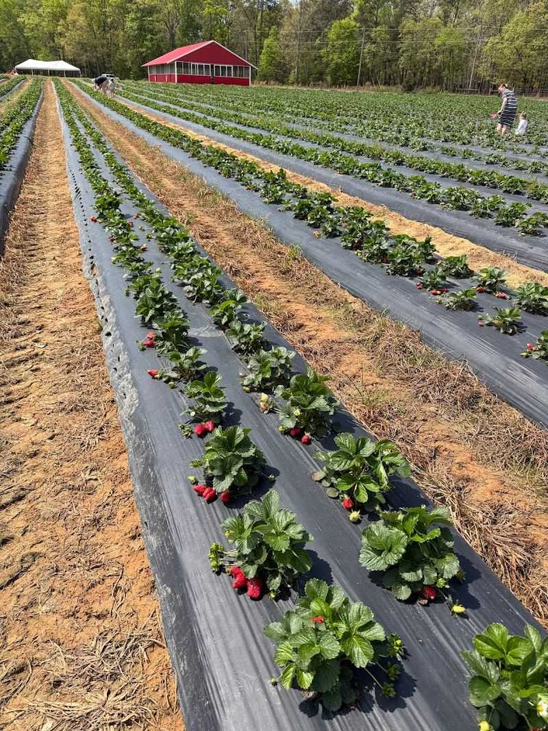 A Family-Owned Farm With Deep Local Roots