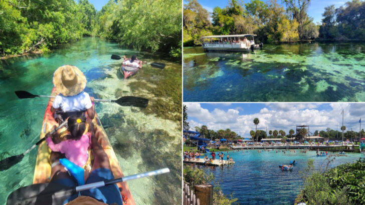 Families Love Spending Warm Spring Afternoons At This Classic Florida Springs Spot
