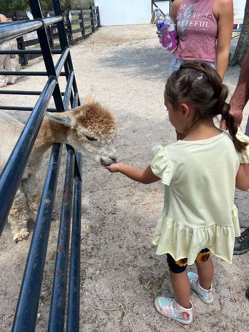 Private Tours Create a More Relaxed Visit