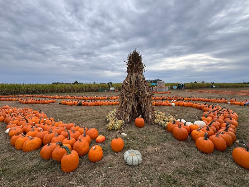 Pumpkin Patch Legacy