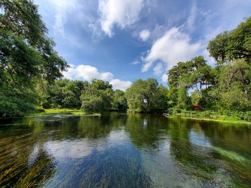 Pristine Natural Environment